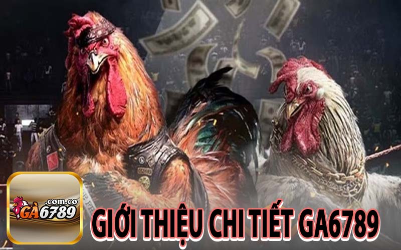 Giới thiệu chi tiết GA6789