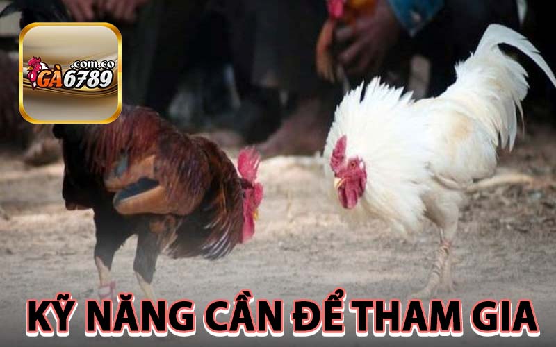 Kỹ năng cần để tham gia