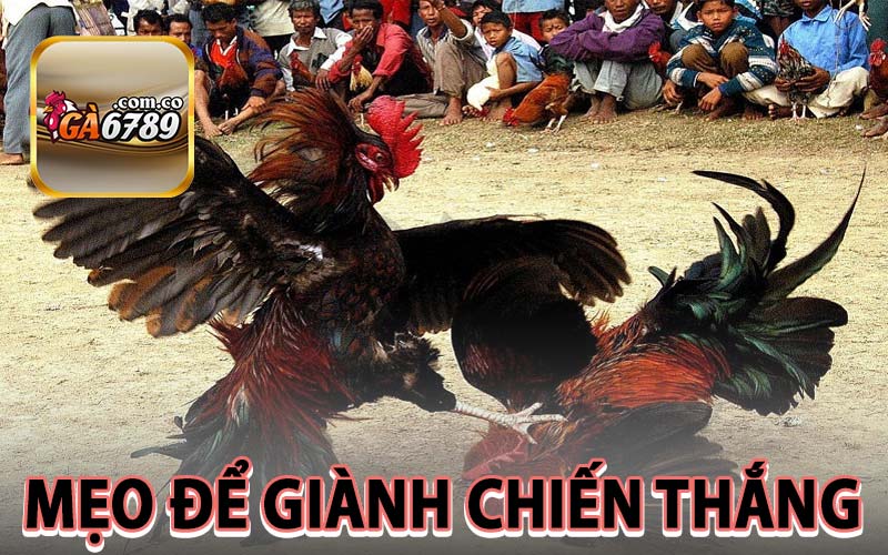 Mẹo để giành chiến thắng